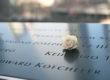 A white rose resting beside engraved names at the National September 11 Memorial in New York City