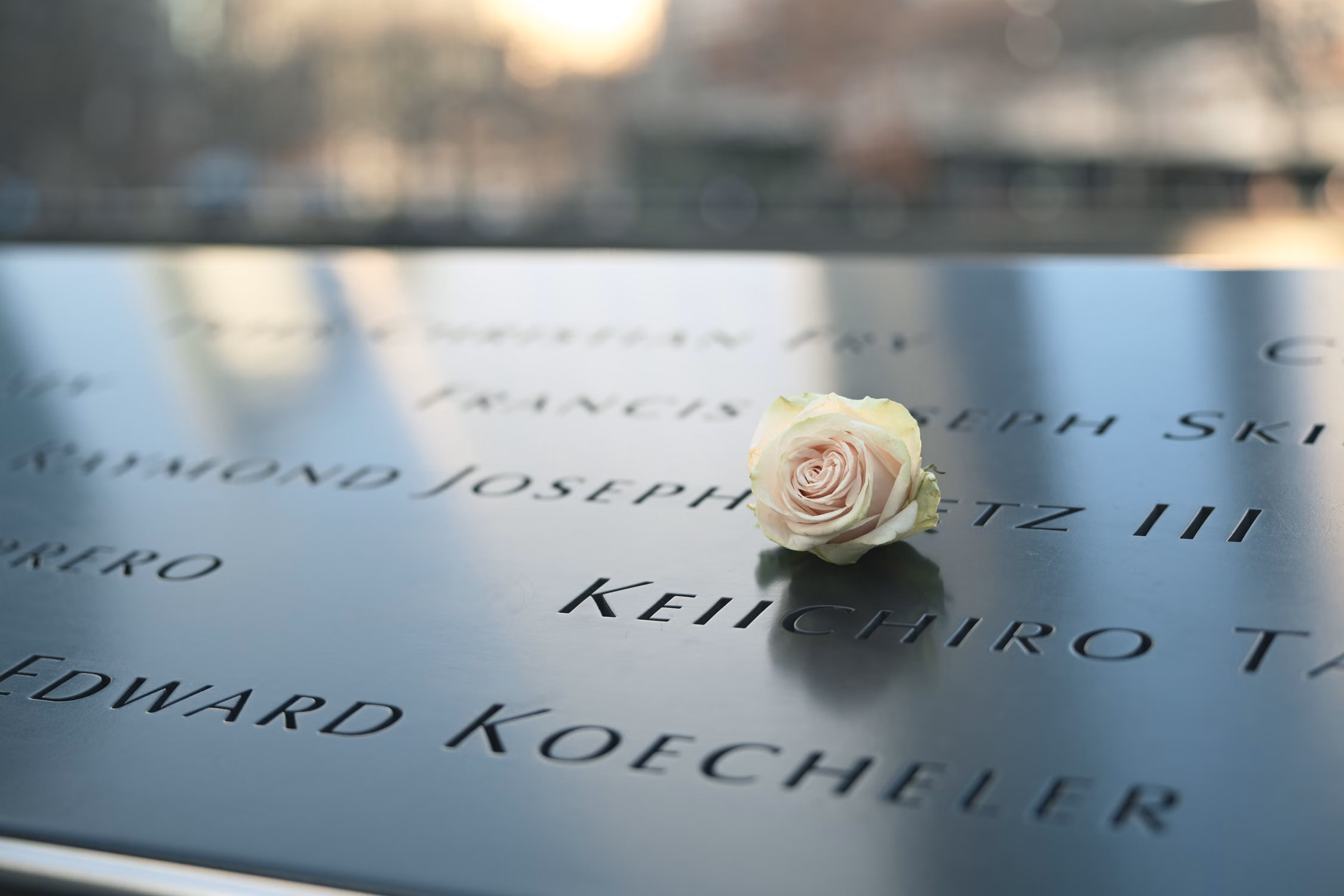 A white rose resting beside engraved names at the National September 11 Memorial in New York City